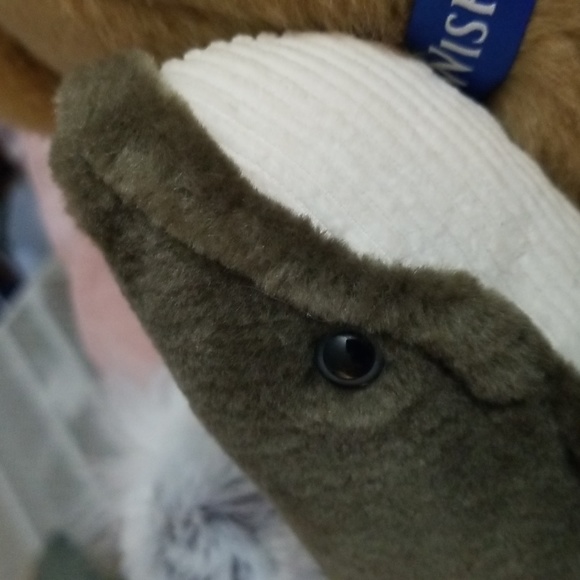 Make a Wish Bear and extras Plush bundle of 3 - Picture 11 of 13